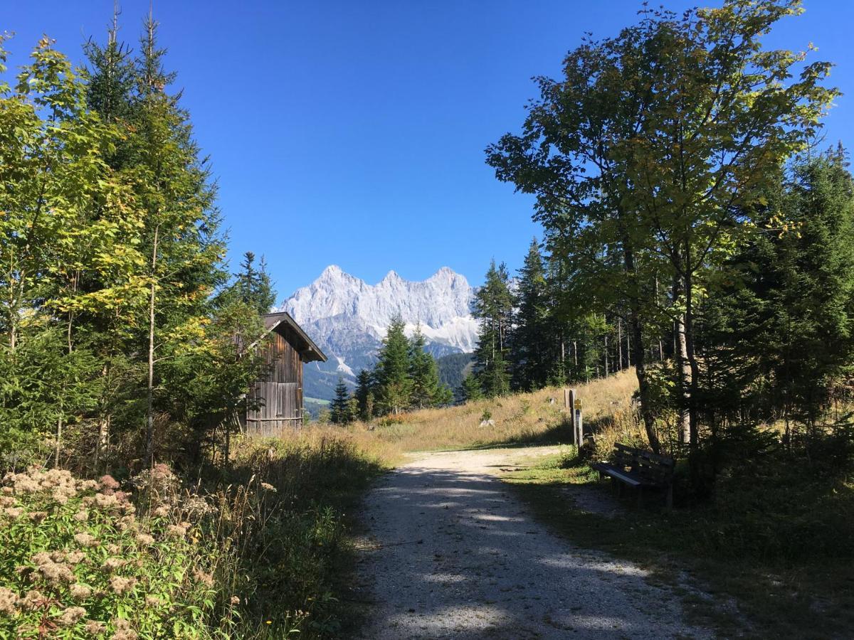 Appartement Sonnberg Forstau  Dış mekan fotoğraf